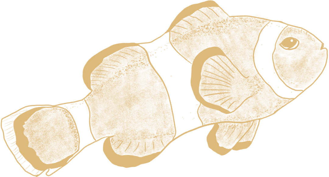 640.png